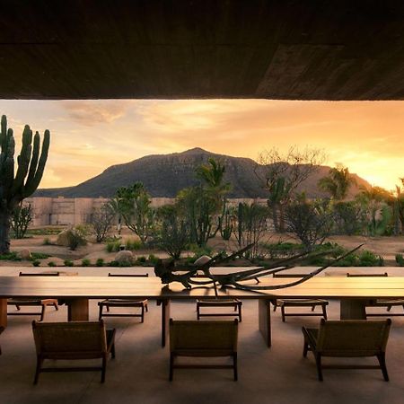 Paradero Todos Santos - Exclusive Experiences Included 외부 사진