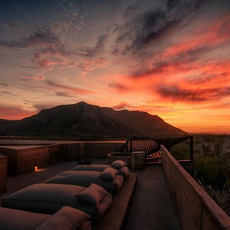 Paradero Todos Santos - Exclusive Experiences Included 외부 사진