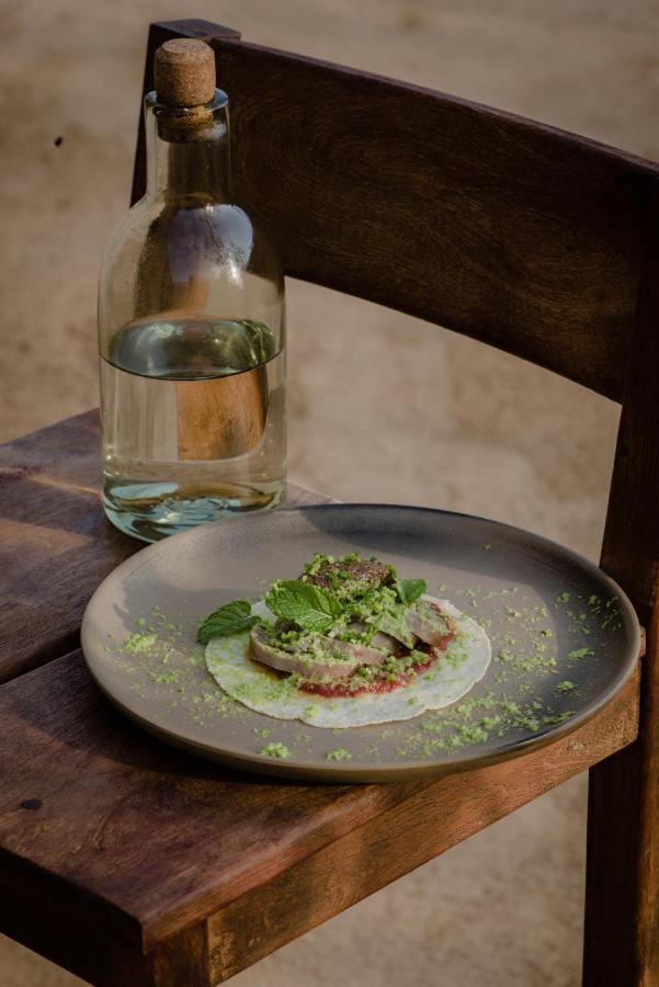 Paradero Todos Santos - Exclusive Experiences Included 외부 사진