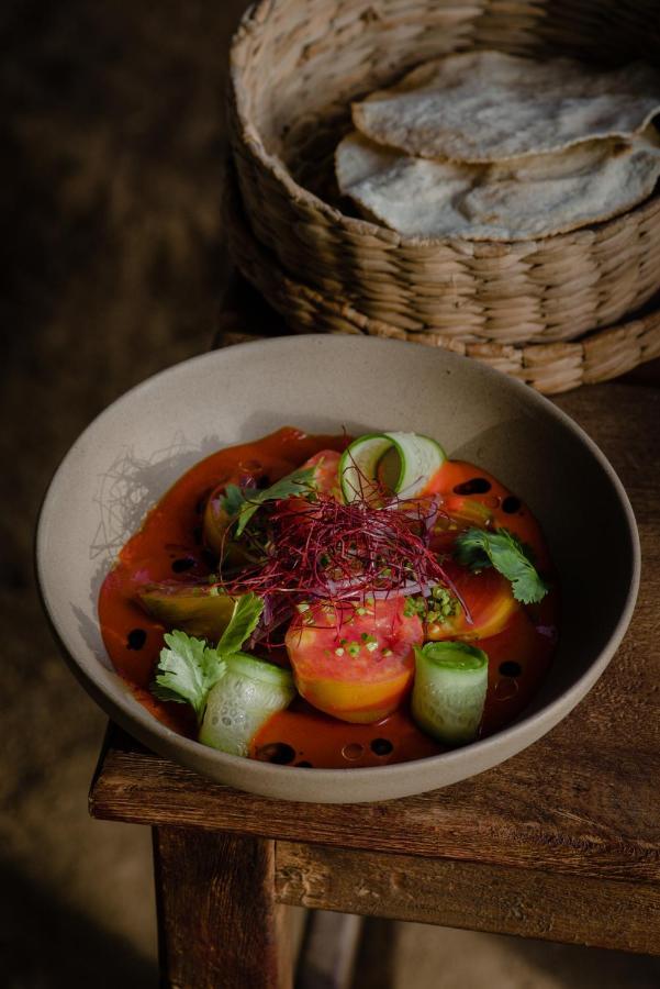 Paradero Todos Santos - Exclusive Experiences Included 외부 사진