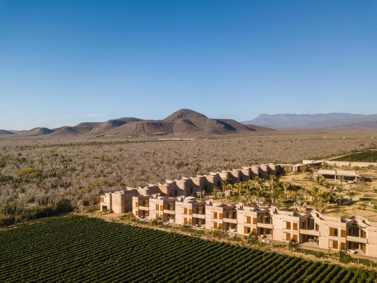 Paradero Todos Santos - Exclusive Experiences Included 외부 사진