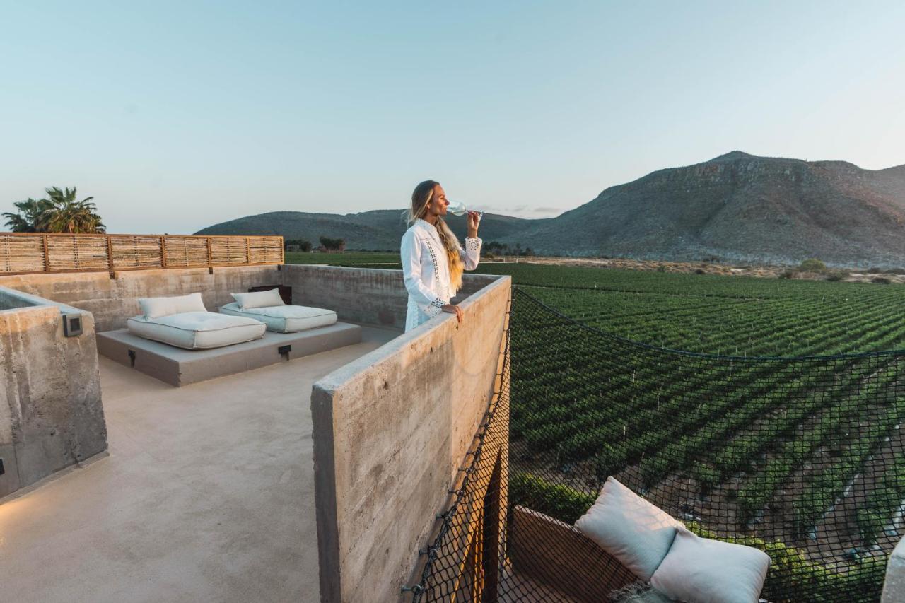 Paradero Todos Santos - Exclusive Experiences Included 외부 사진