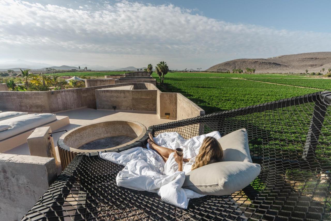 Paradero Todos Santos - Exclusive Experiences Included 외부 사진